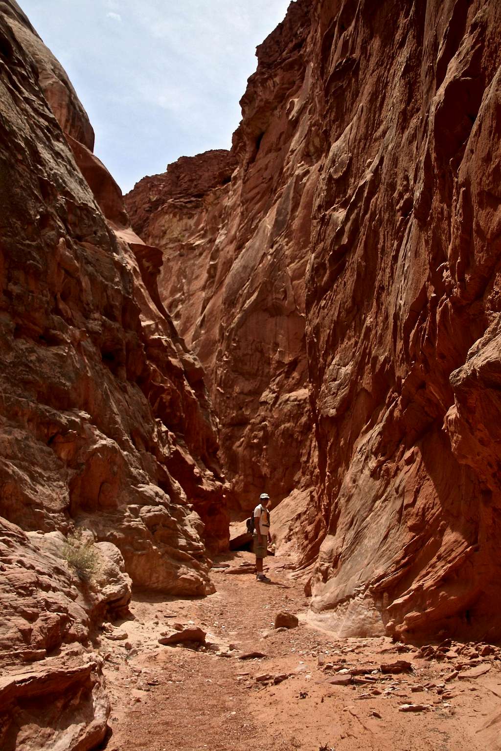 West Fork, Bluejohn Canyon