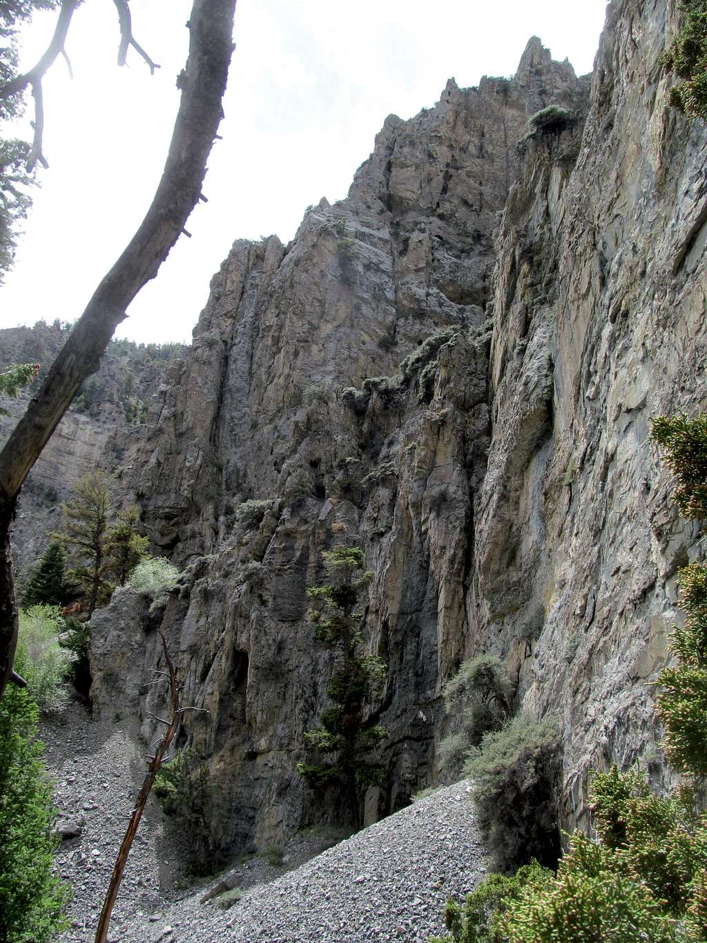 cliffs of Middle Canyon