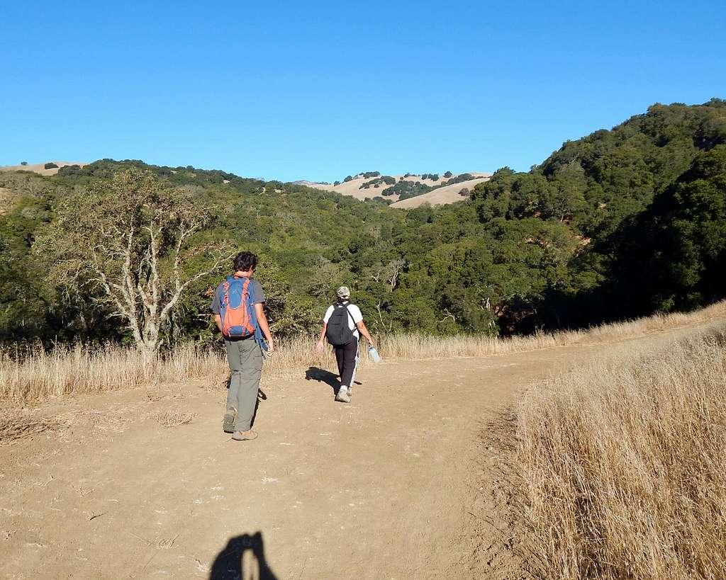 Windy Point From Old Finley Road