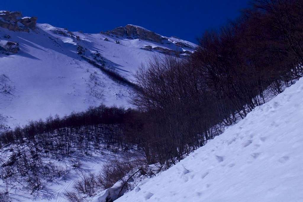 Avalanche prone slope