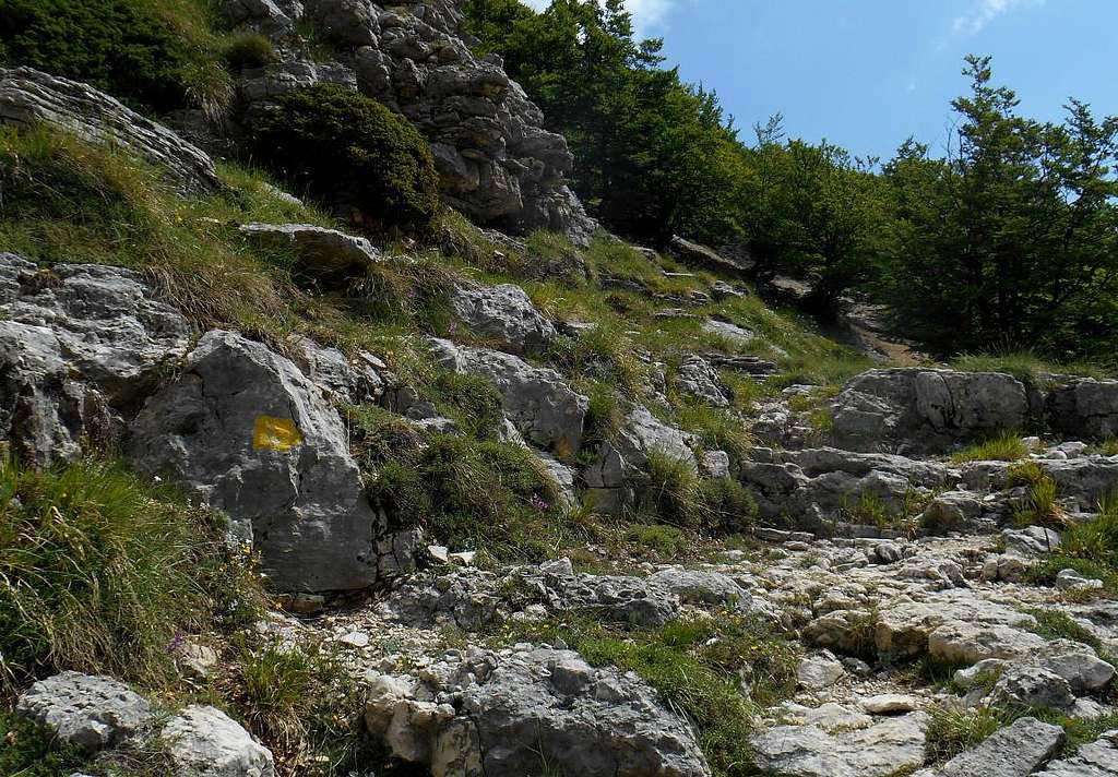 Trail in the vicinity of 'Grotta dei Porci'