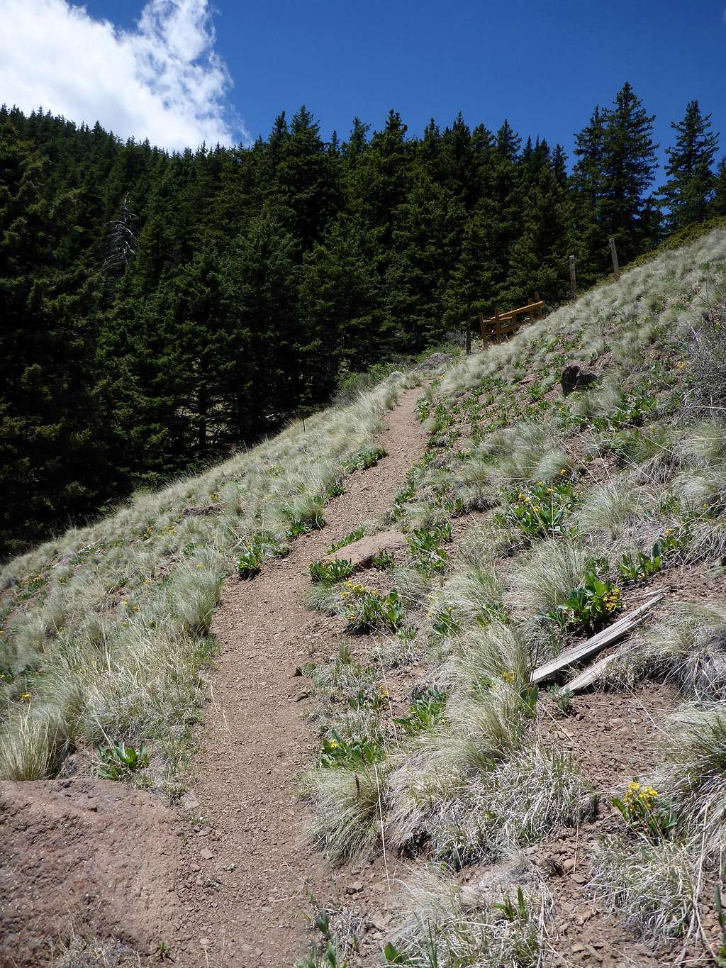 Short Steeper Trail