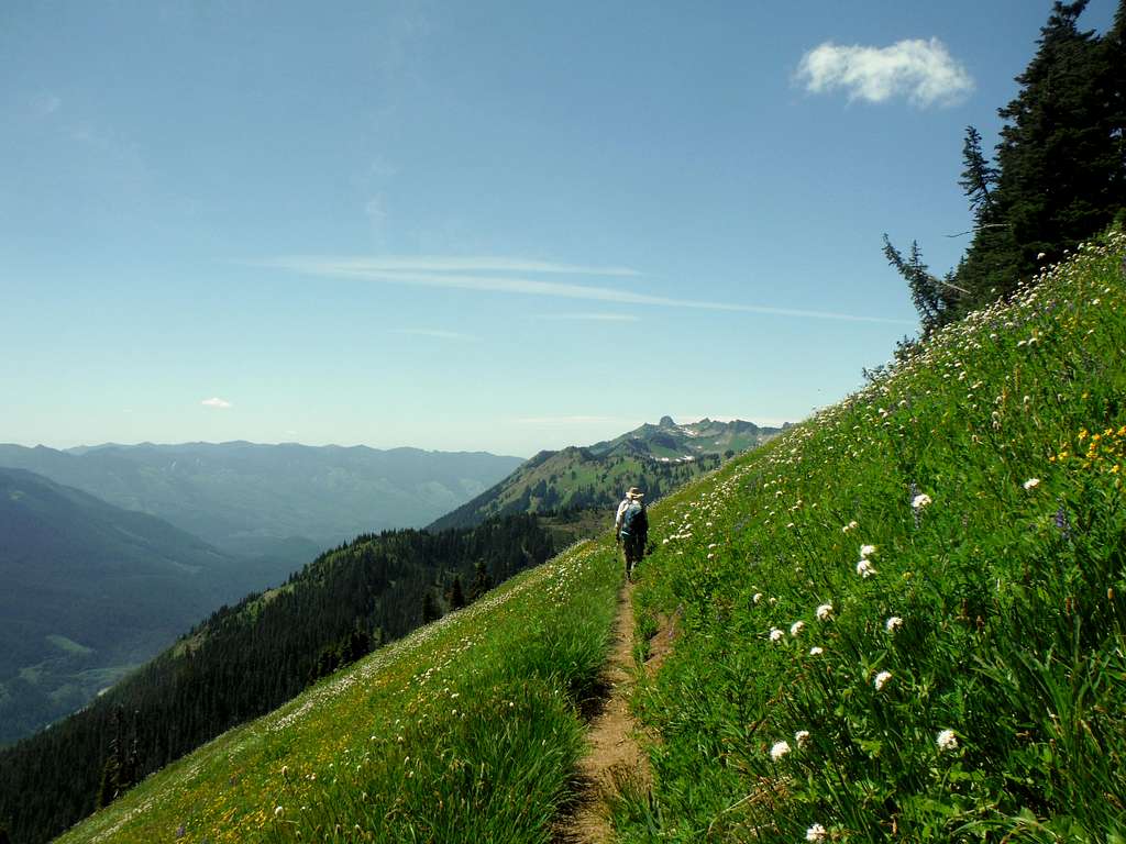 Heading on the High Divide Trail