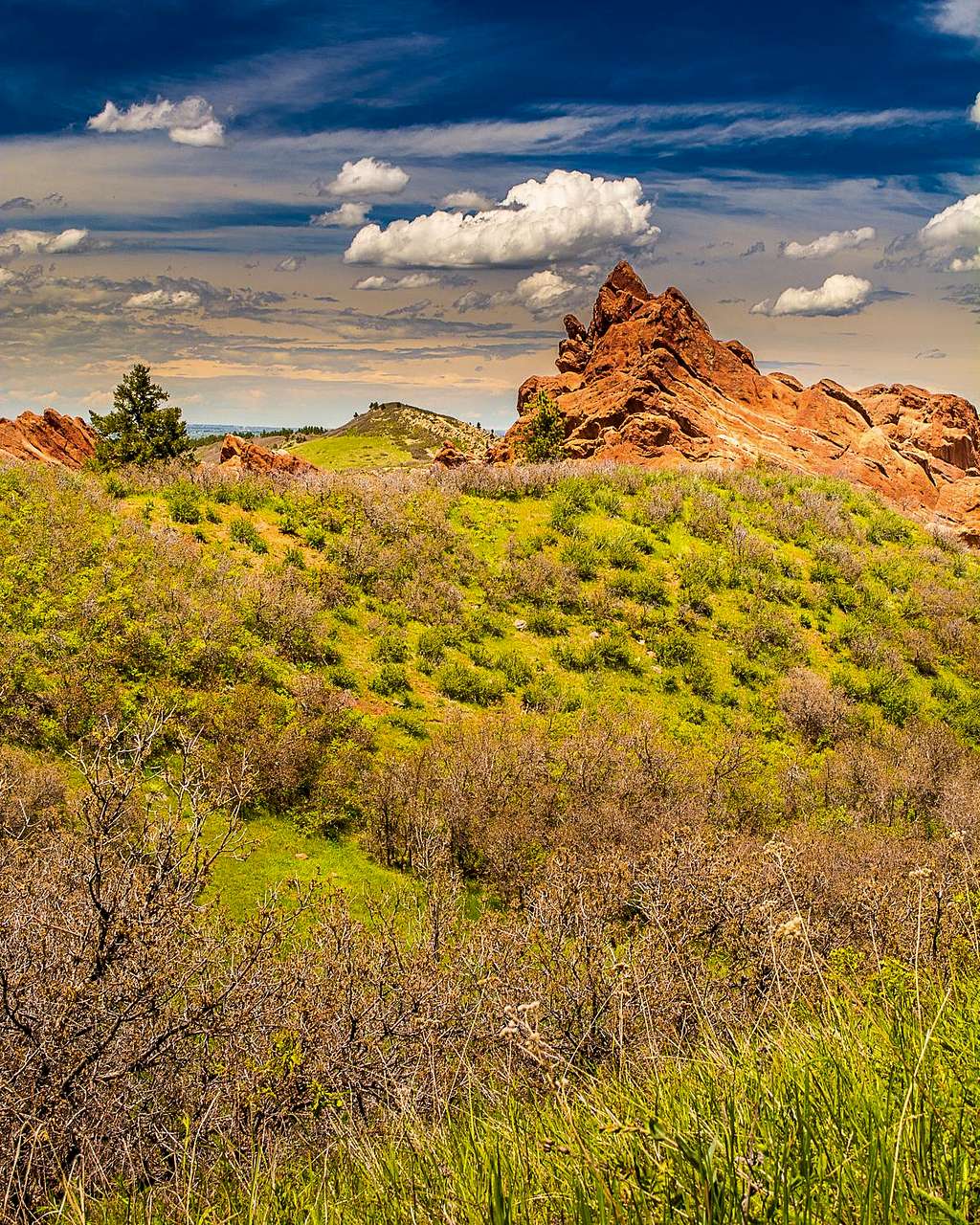 Rock Formation in Roxborough State Park