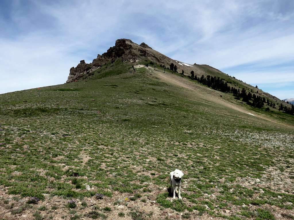 South ridge of Thimble Peak