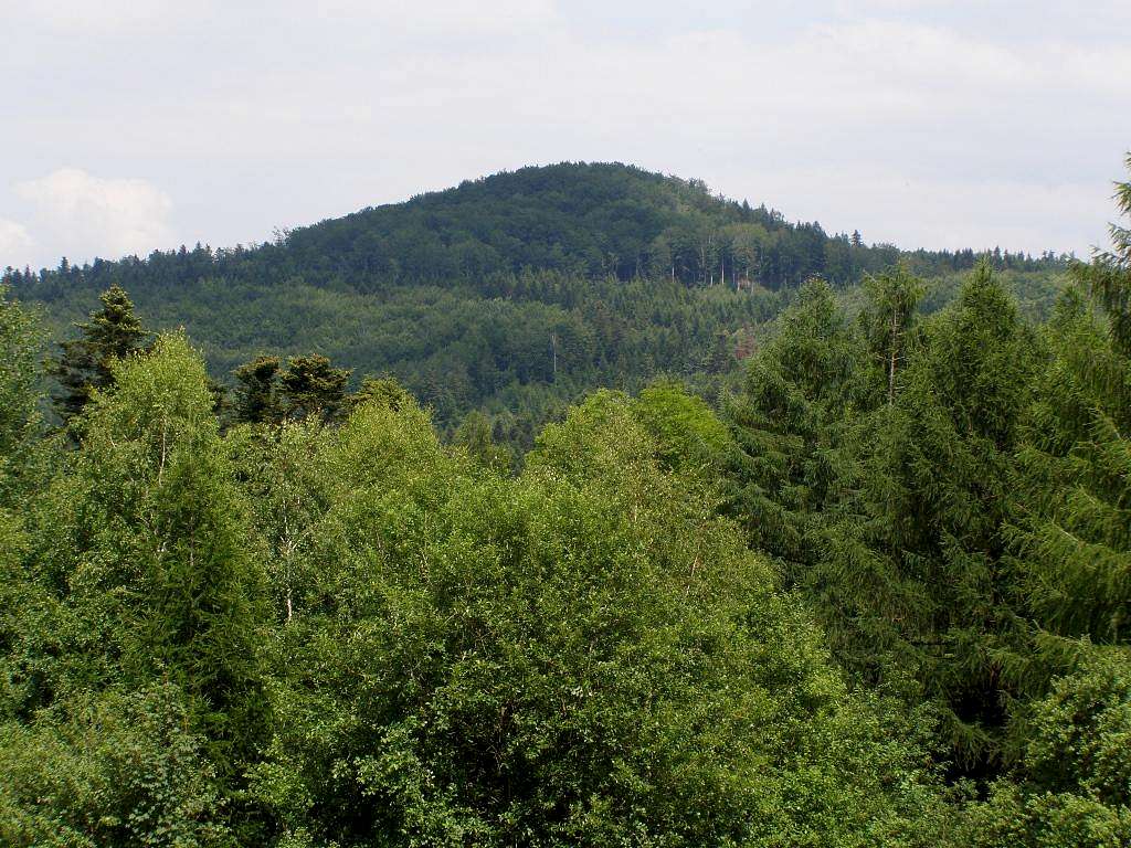 Mount Wołtuszowska - Our hike – June 26, 2015