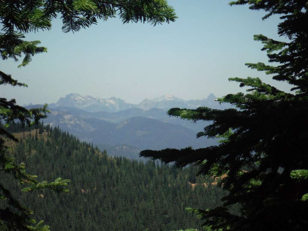 View through the summit trees