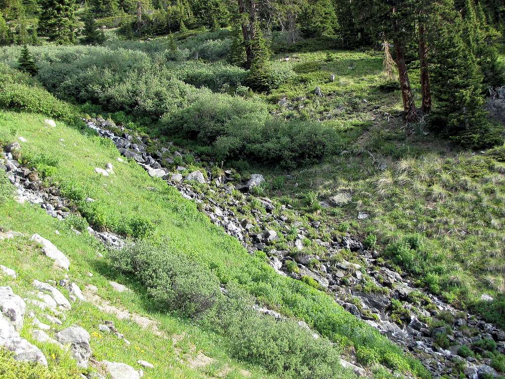 The stream that drains Allan Lake