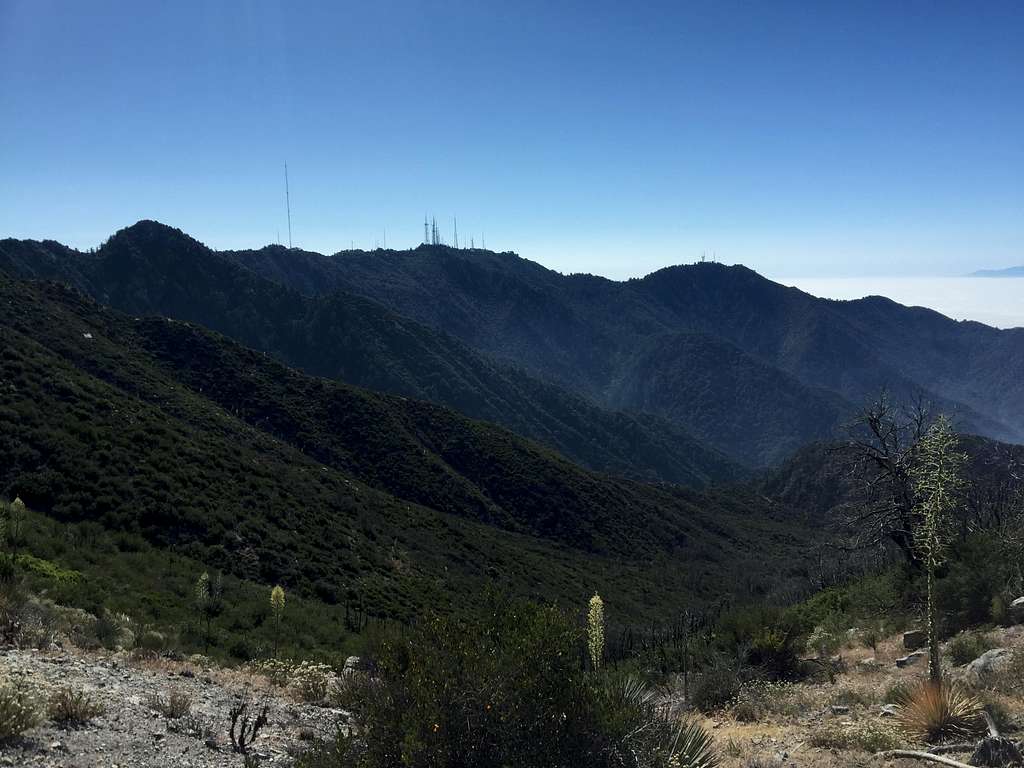 Mount Wilson and Mount Harvard