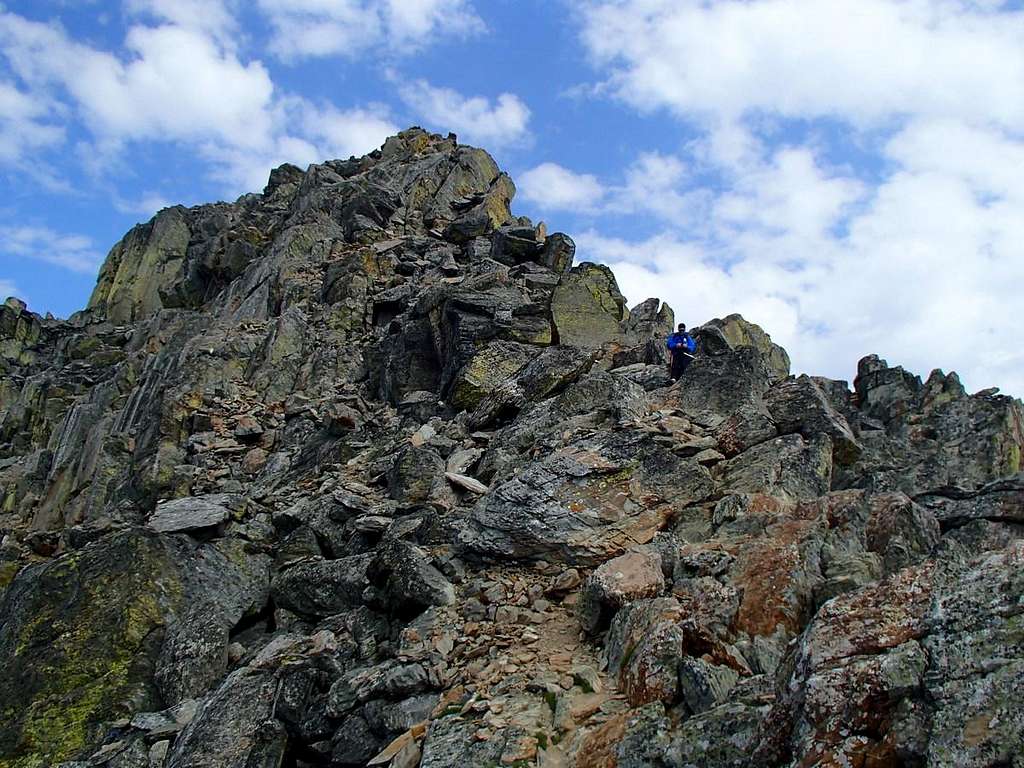 Mount Fisher near top of S Ridge
