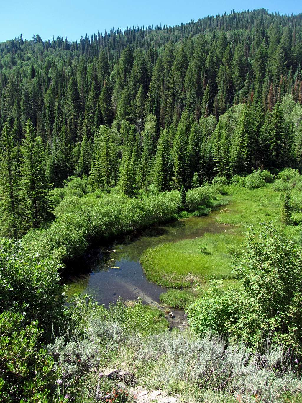 Deer Creek Trail pond