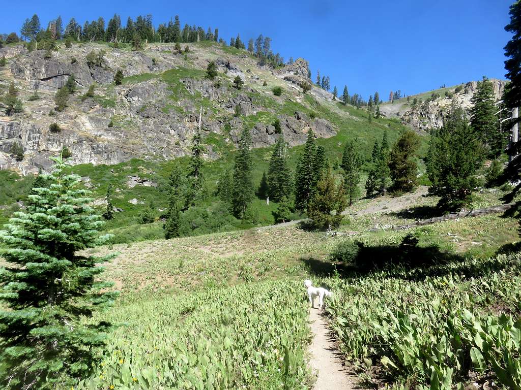 Trail crossing for Granite Chief Trail