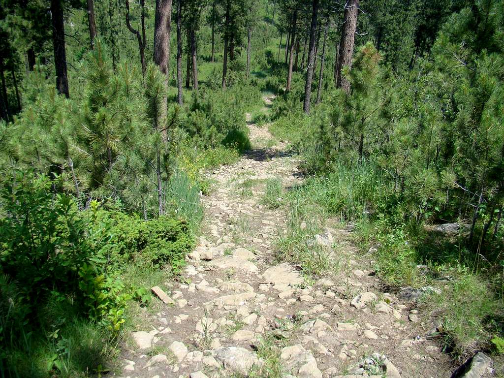 Rough portion of the trail