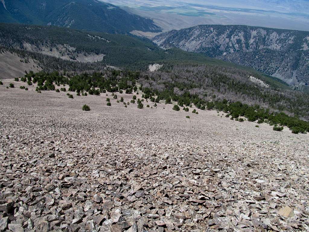 descending Big Creek