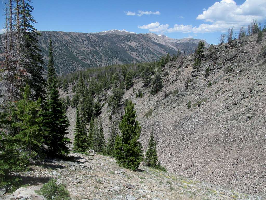 descent ravine on Big Creek Peak