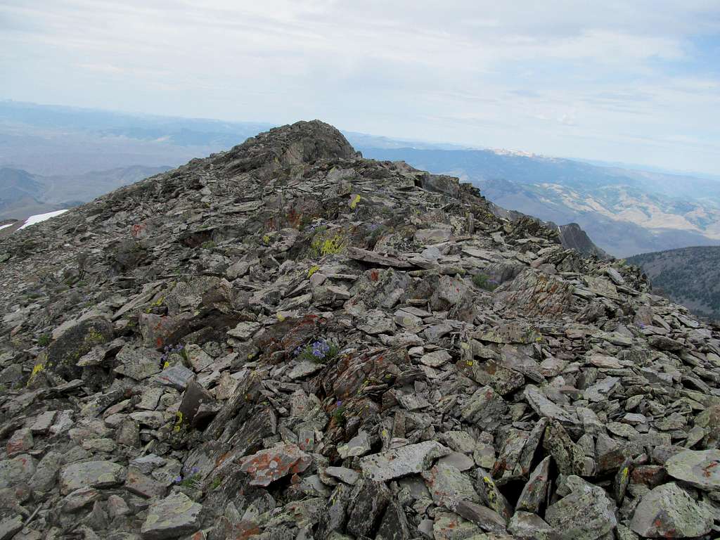 Lem summit ridge