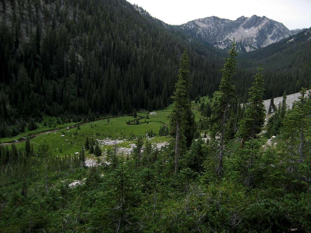 Fall Creek Meadow, Returning from the Rakers