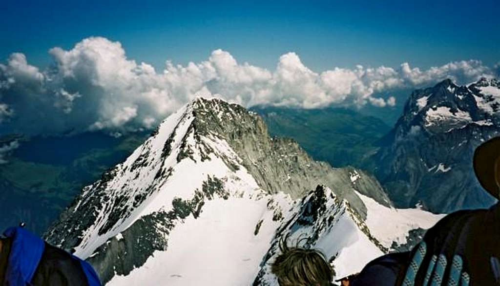 Eiger and Wetterhorn from...