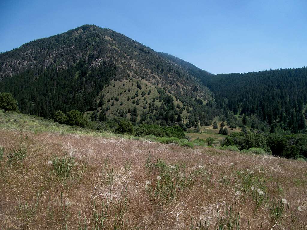 hill on the other side of Palisades Creek Canyon