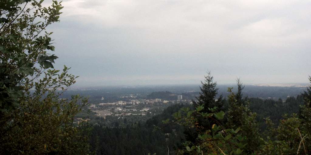 Downtown Eugene from the viewpoint