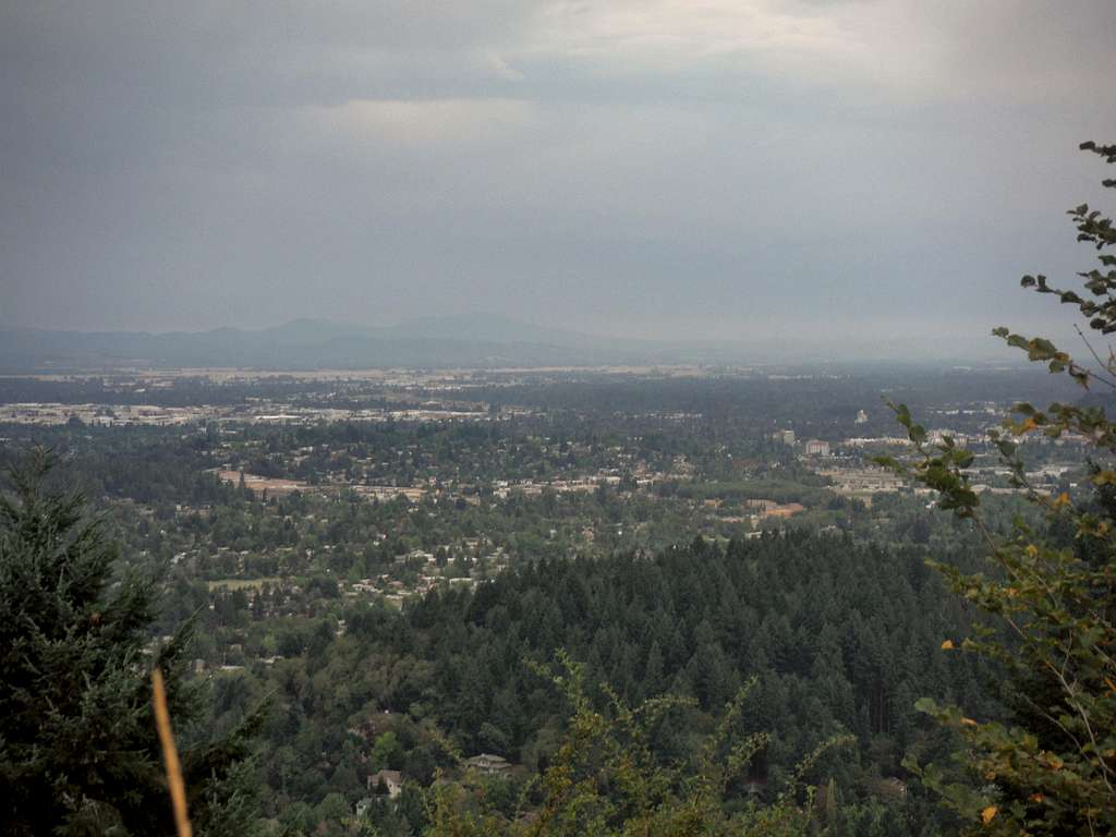 Looking over Eugene