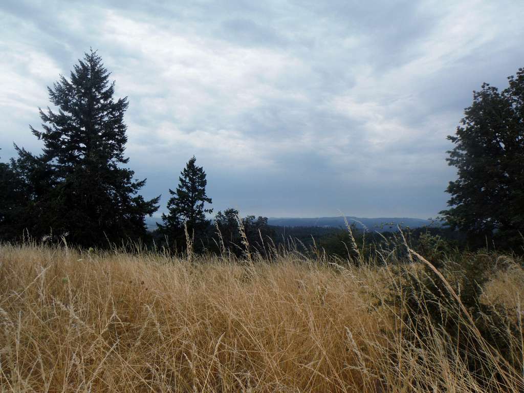 The view over the grasslands.