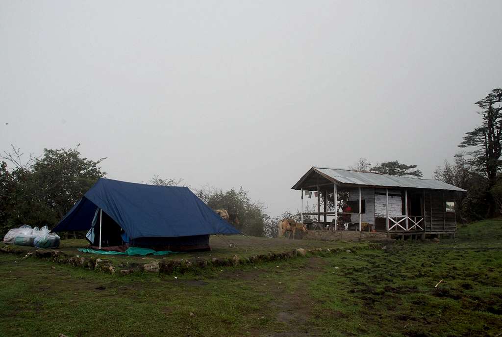 Campsite and Trekker's hut - Phedang