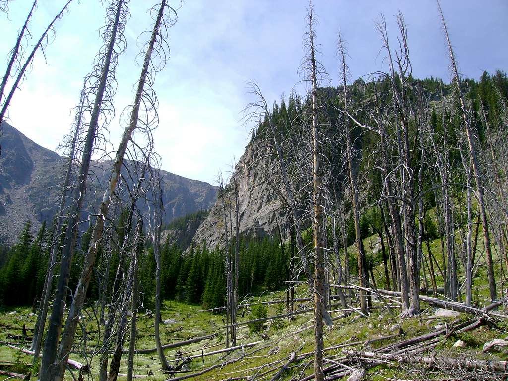 Meadow at the West Branch of Spread Creek