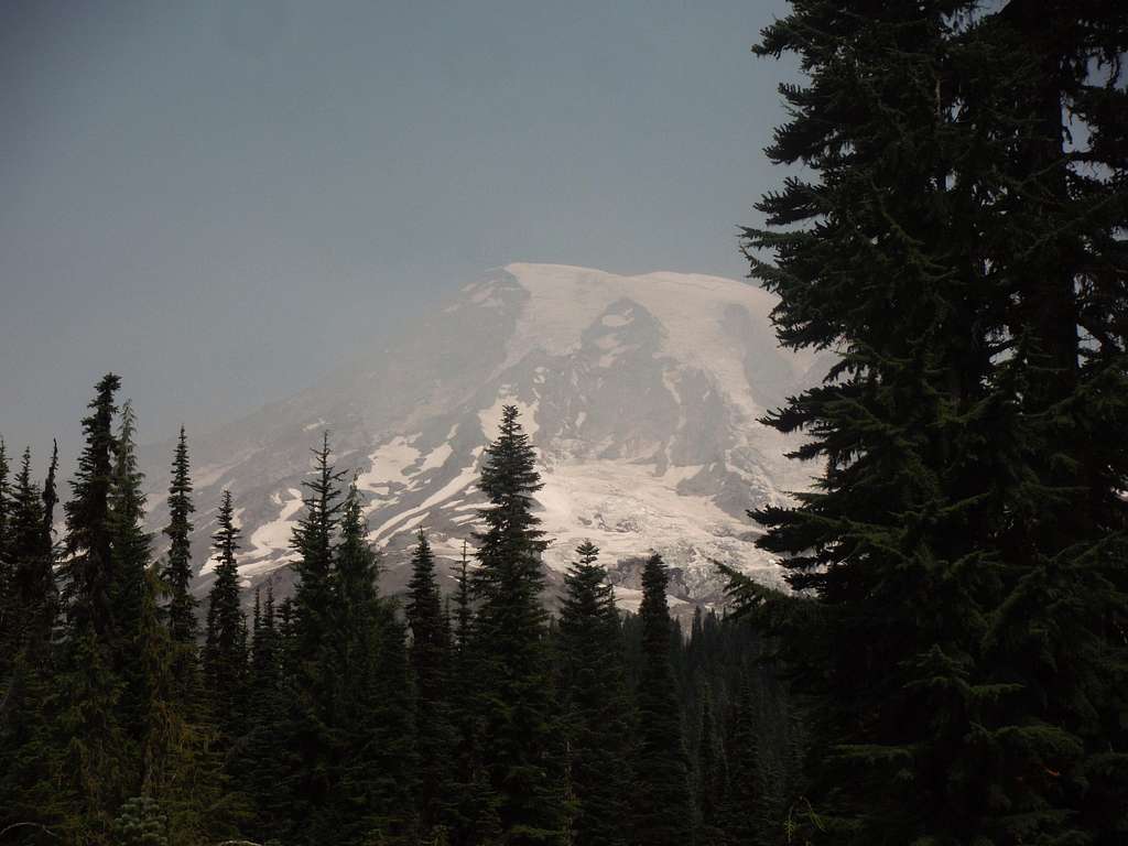 Mount Rainier from the trailhead