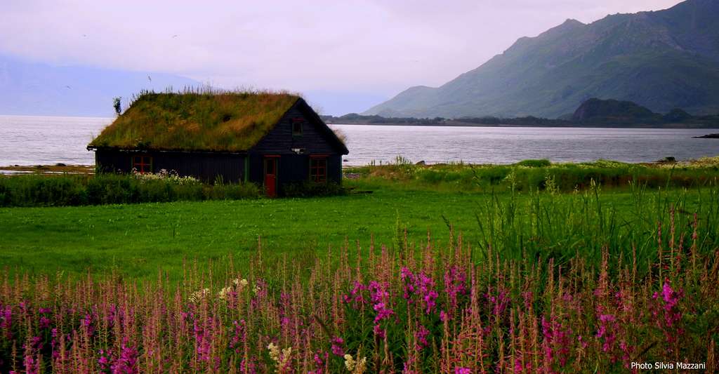 Cabin on the shore of the Eidsfjorden