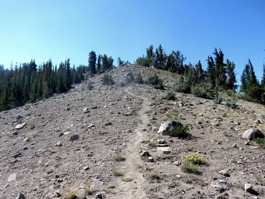 Heading up the use trail to Incline Peak