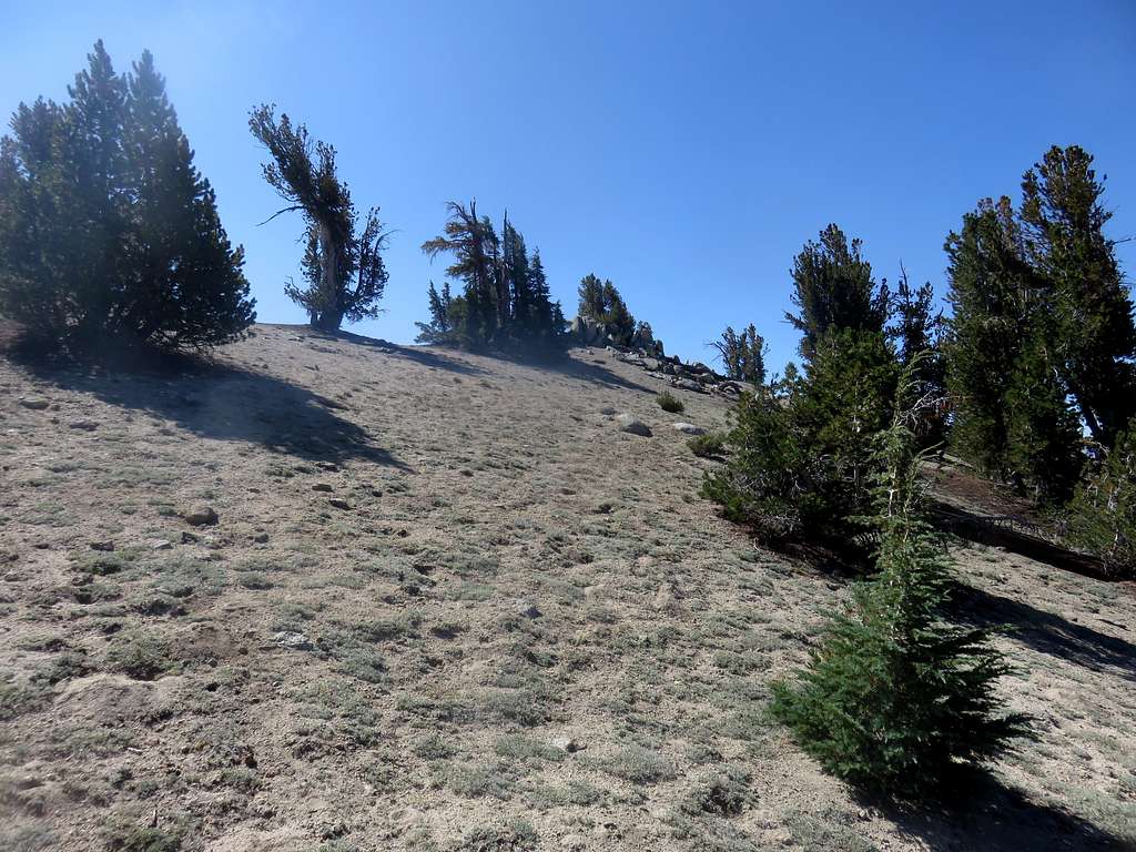 Last stretch to the summit of Incline Peak
