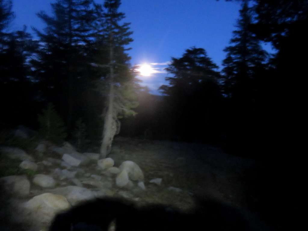Full moon seen from the trail