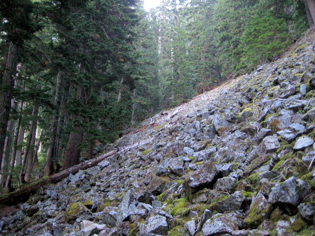 Talus slope at 3800' on Red Mountain