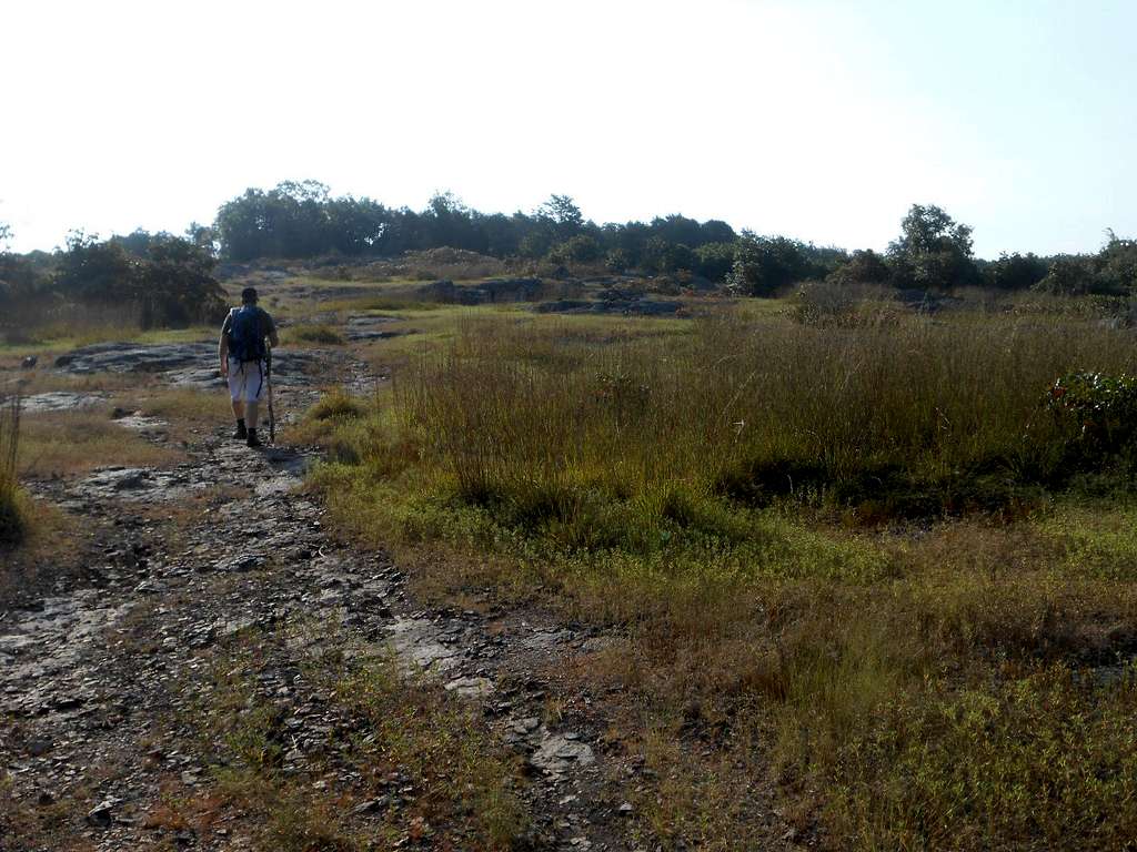 Sloping Plateau of Hughes Mountain