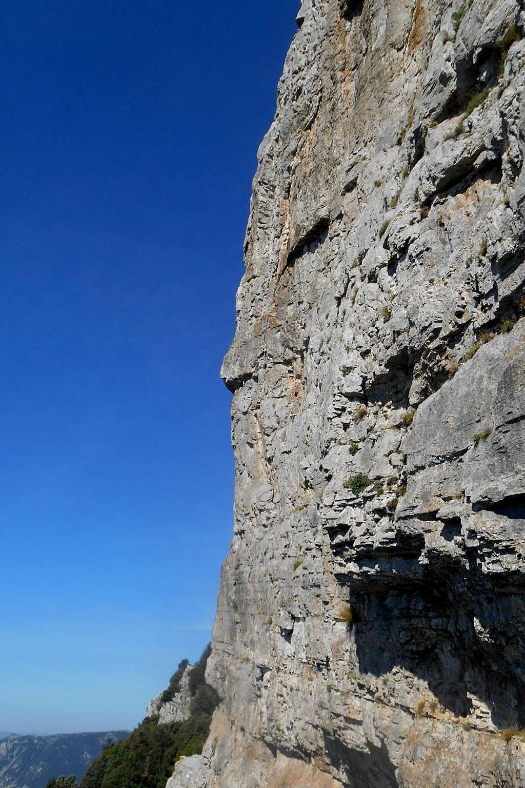 Monte Sellaro (wall of thesouth face)
