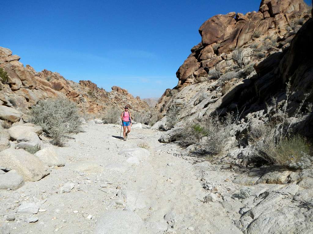 Hiking Up The Wash
