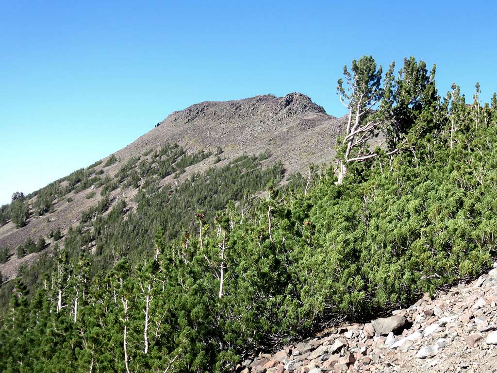 Church Peak from the Mount Rose Trail