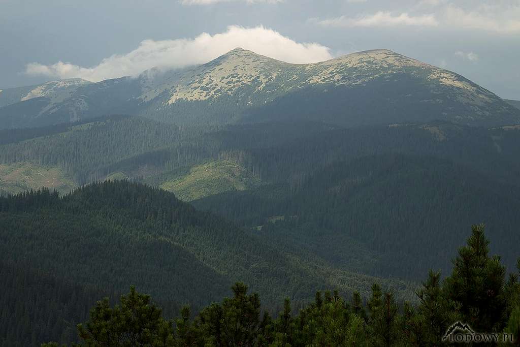 Mount Syvula - Gorgany mtns.