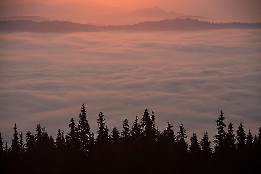 Morning carpet of clouds over Bucovina