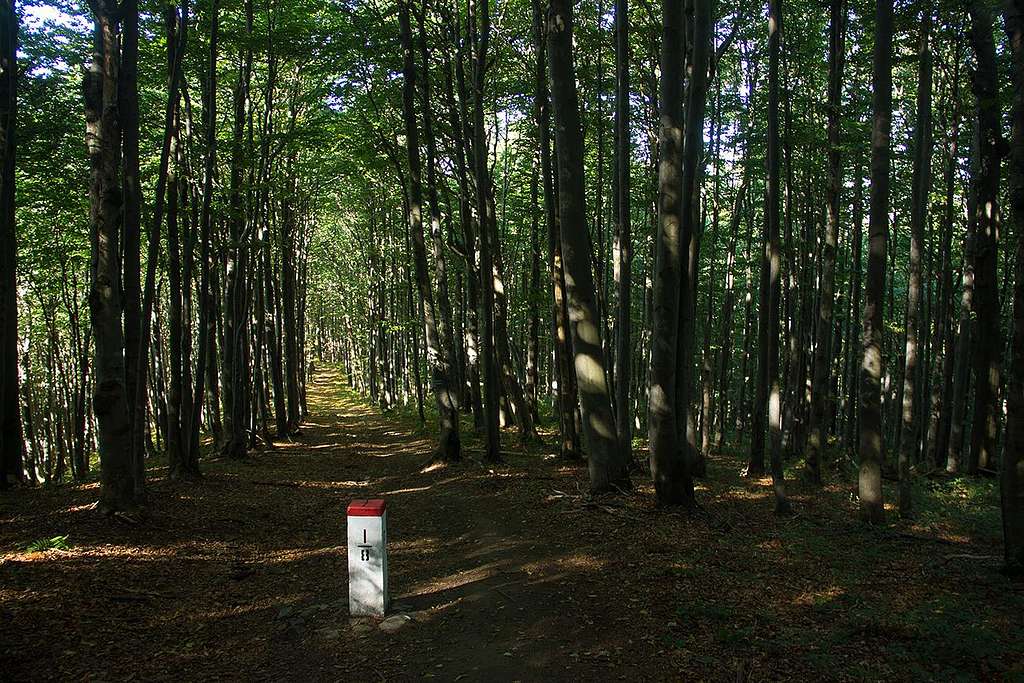 Bieszczady border trail