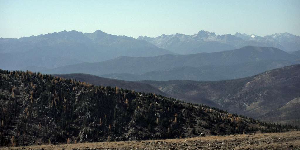 Distant larches and mountain