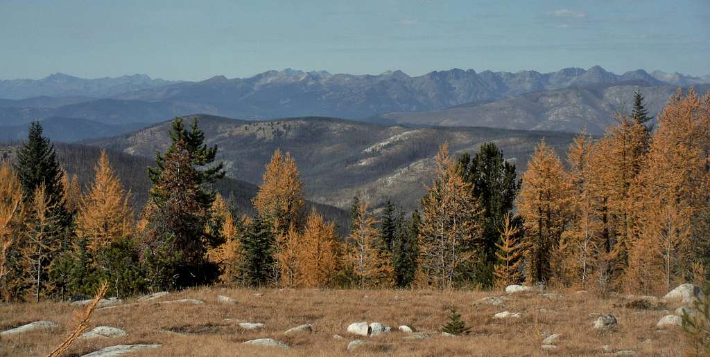 Larches and the Cascades Crest