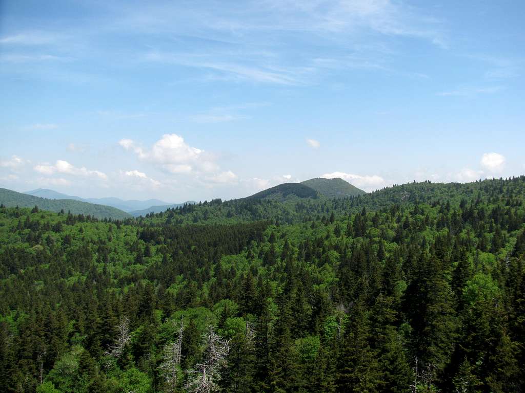 Devils Courthouse Summit View