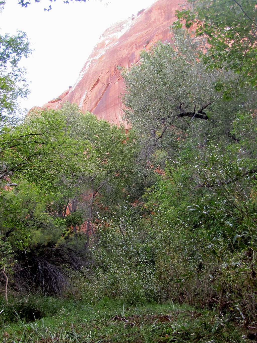 The narrow part of Phipps Canyon