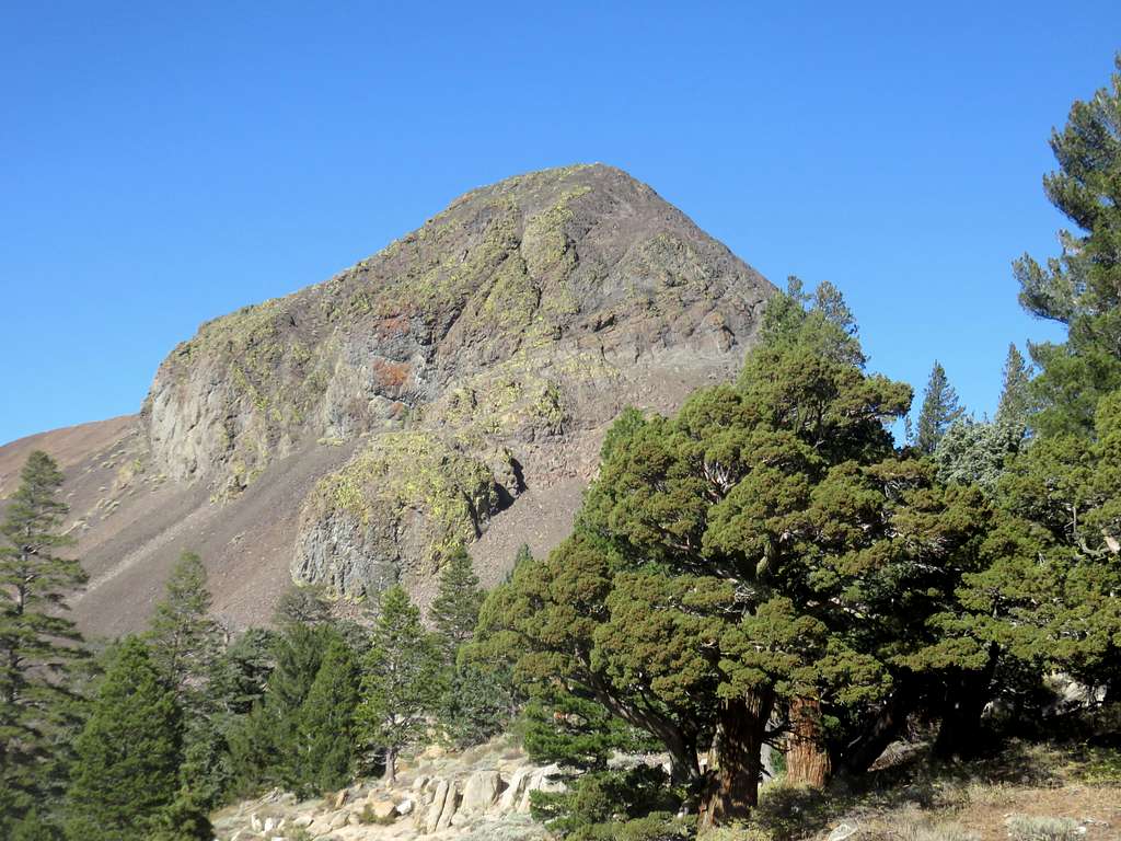 East face of Ebbetts Peak from the PCT