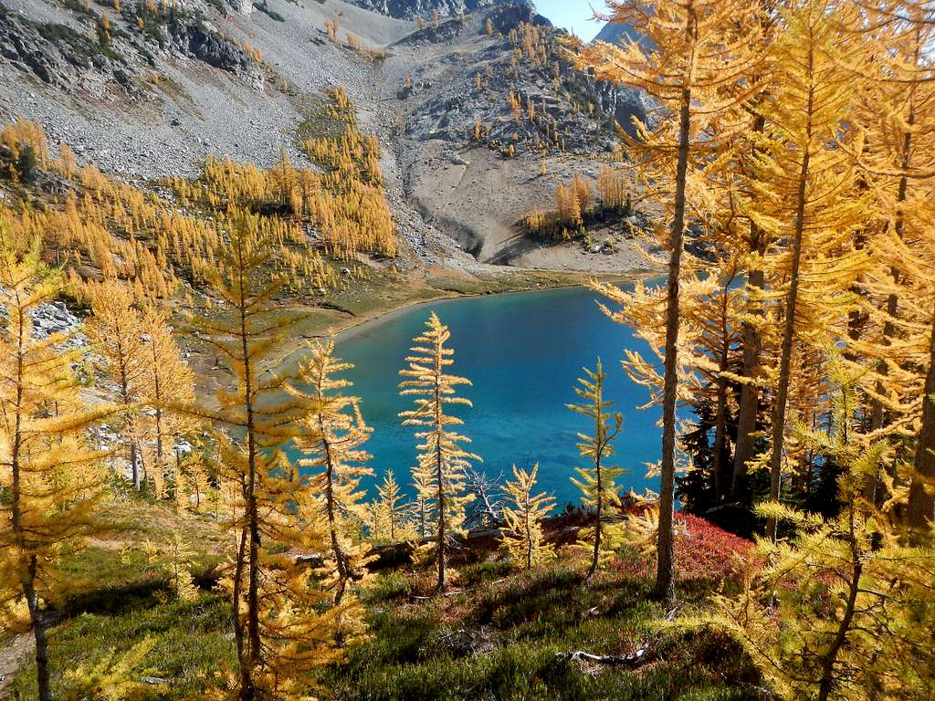 Larches at Ice Lakes