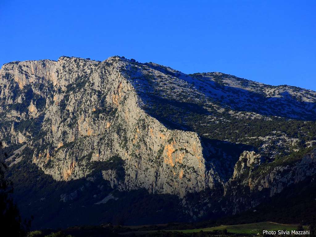 Monte Oddeu from NE