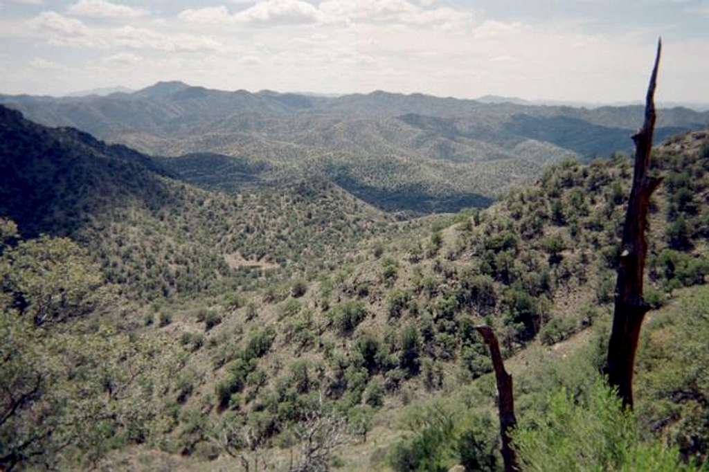 A view of the Atascosa...