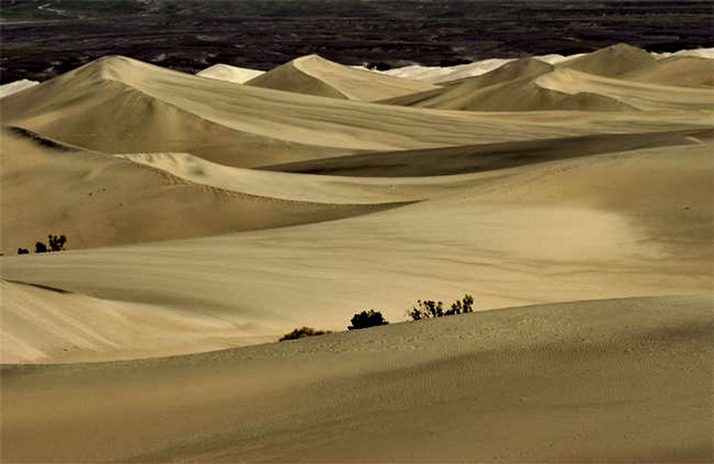 Famous sand dunes near...